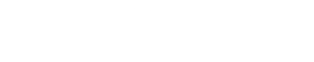 Selomix