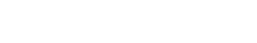 Selomix